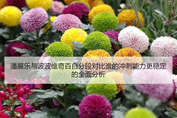 潘展乐与波波维奇百自分段对比谁的冲刺能力更稳定的全面分析