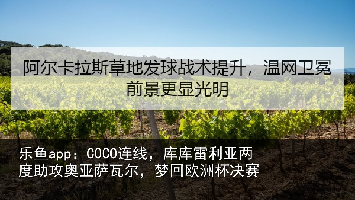 乐鱼app：COCO连线，库库雷利亚两度助攻奥亚萨瓦尔，梦回欧洲杯决赛