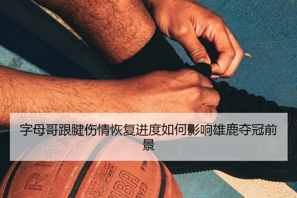 zi-mu-ge-gen-jian-shang-qing-hui-fu-jin-du-ru-he-ying-xiang-xiong-lu-duo-guan-qian-jing-3-595.jpg