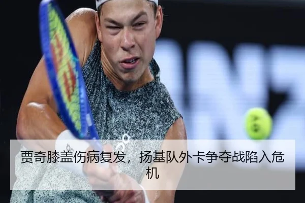 贾奇膝盖伤病复发，扬基队外卡争夺战陷入危机
