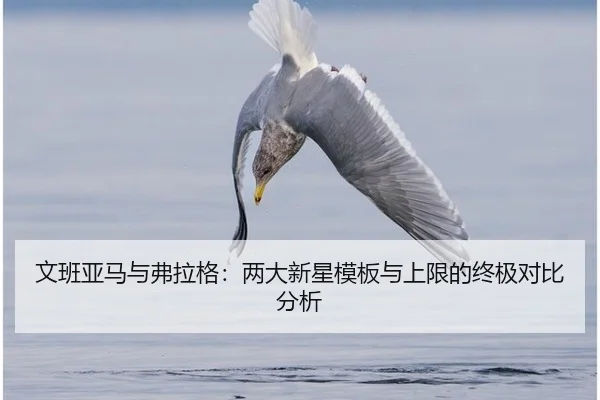 wen-ban-ya-ma-yu-fu-la-ge-liang-da-xin-xing-mu-ban-yu-shang-xian-de-zhong-ji-dui-bi-fen-xi-3-398.jpg