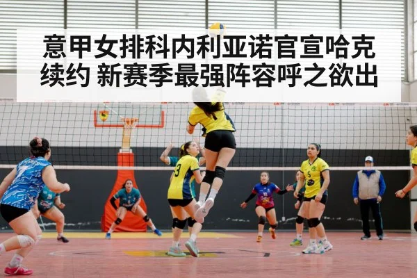 volleyball match action